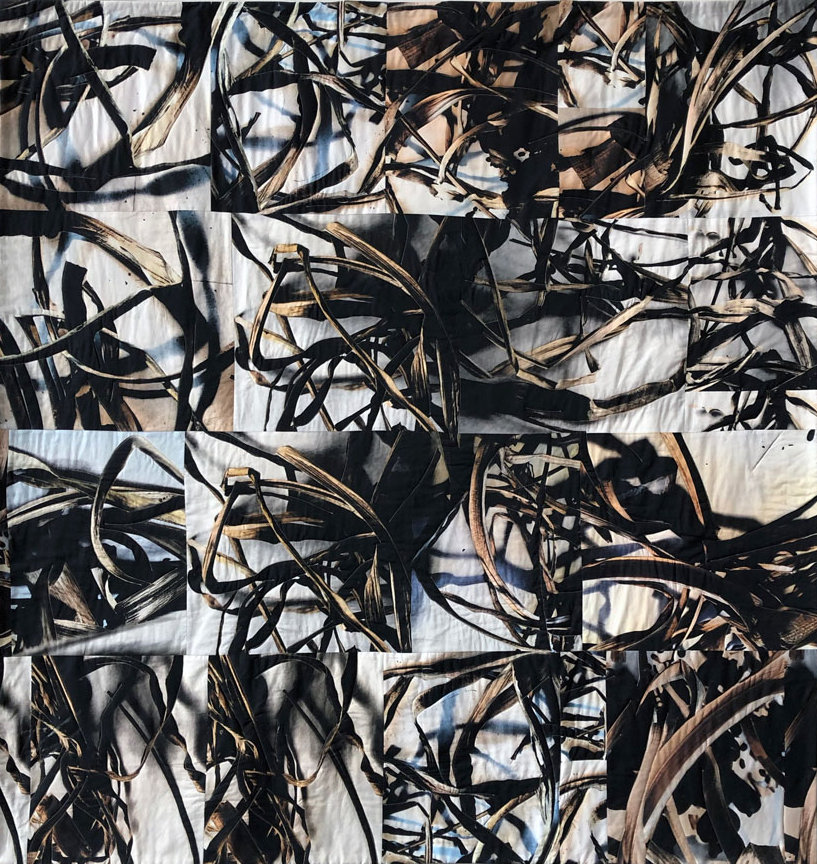 Artist Joan Schulze Lecture