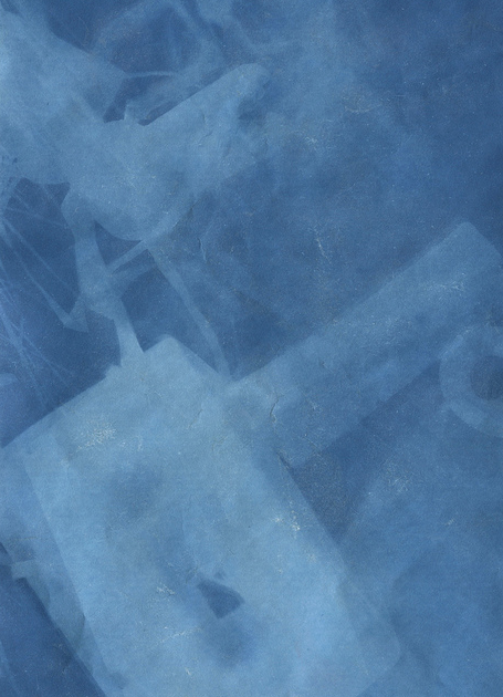 Cyanotype: Lasting Impressions