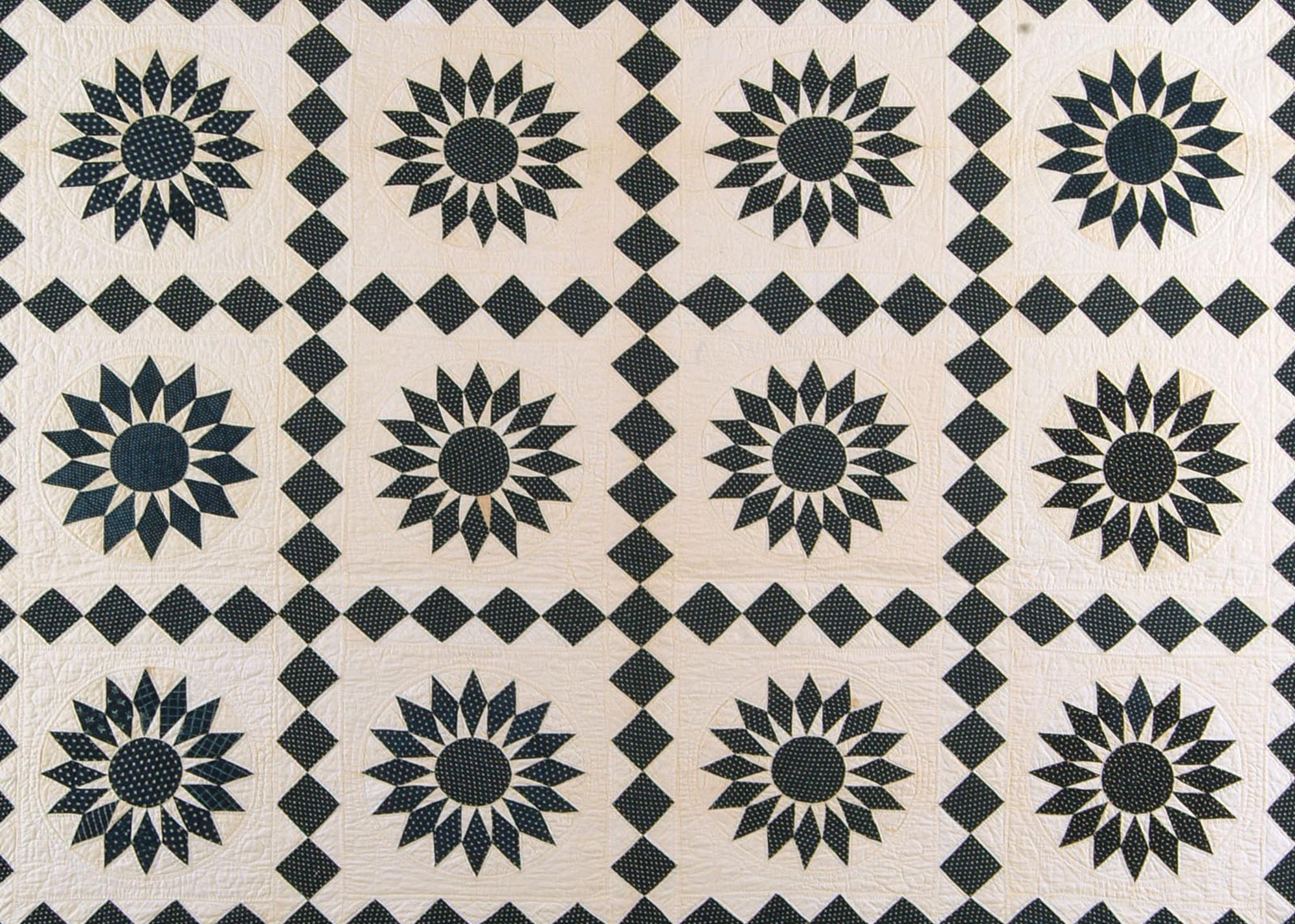 A Rare Occurrence Quilt Image
