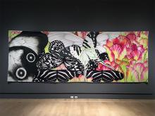 Velda Newman: Panorama