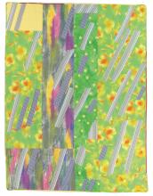 Summer Rain