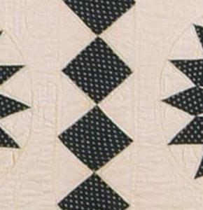 A Rare Occurrence Quilt Image